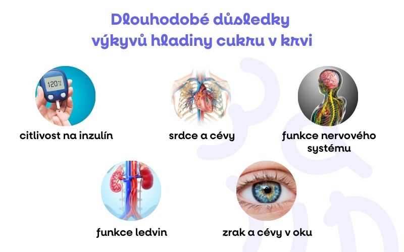 infografika_5